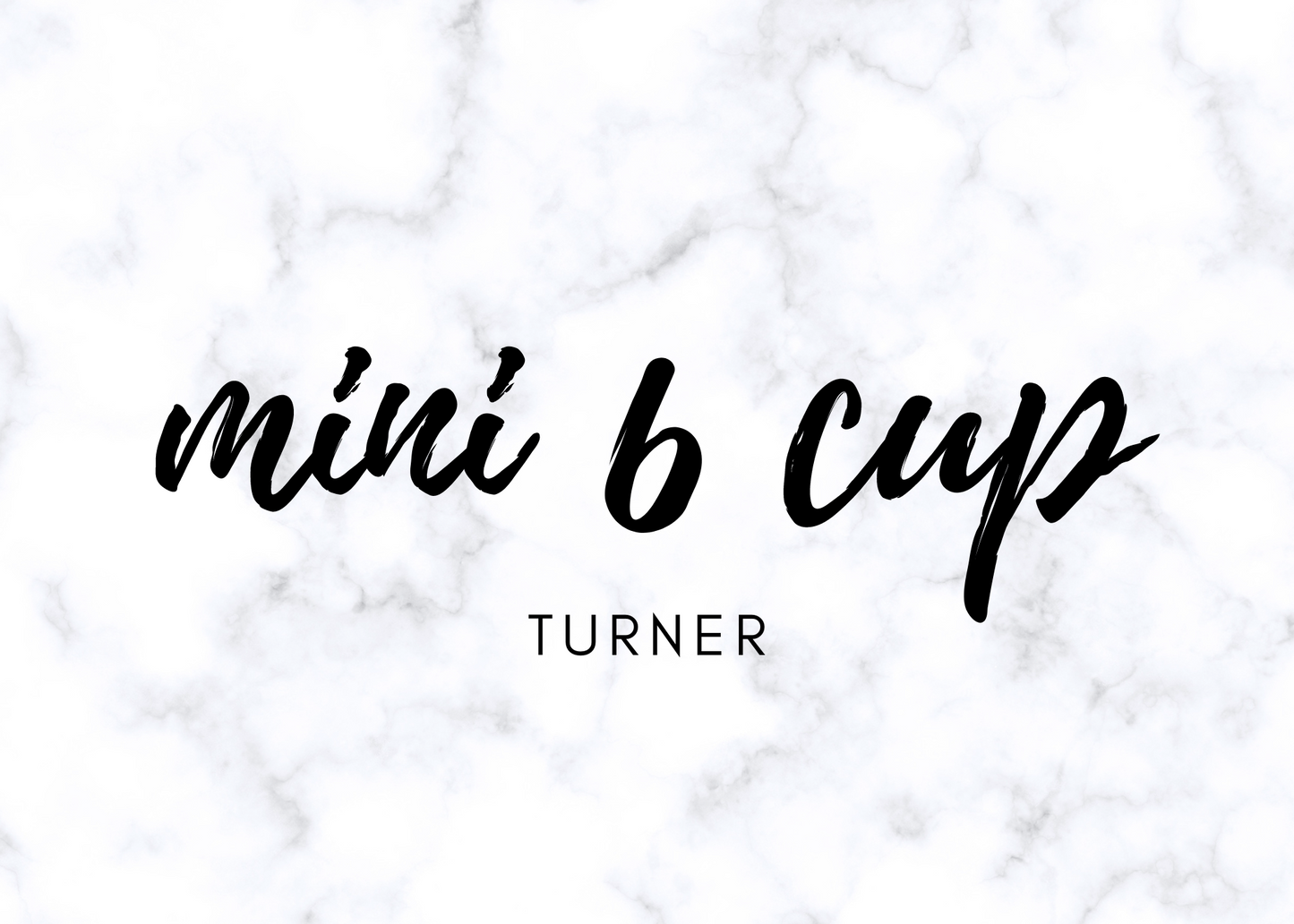 MINI SIX (6) Cup Turner
