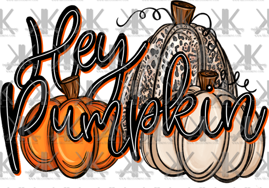 HEY PUMPKIN PNG DTF